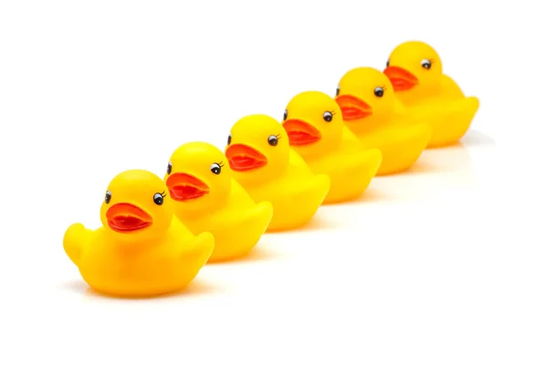 Yellow gum ducks — Stock Photo, Image
