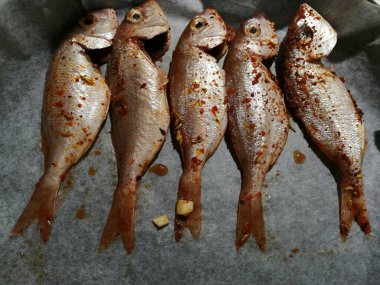 Kırmızı çipura balığı pişirmeye hazır, baharatlı ve tuzlu.