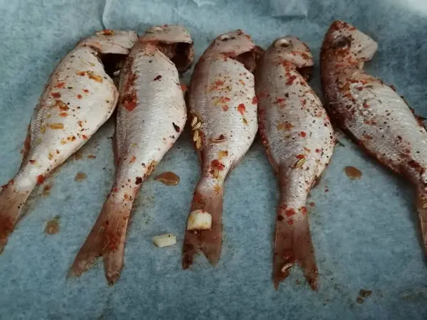 Ready Cook Red Bream Fish Spiced Salted — Stock Photo, Image