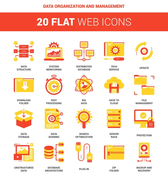 Data Organization and Management — Stock Vector
