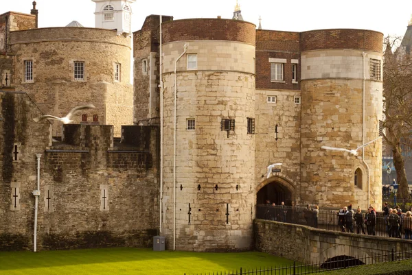 Torre di Londra, Inghilterra — Foto Stock