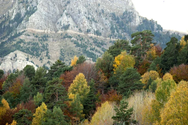 Paisaje otoñal — Foto de Stock