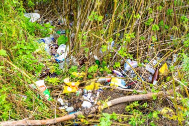 Sorumsuz insanların geri kalanı yıllarca çürüdükten sonra ormanda bırakılan ambalaj atığı yığını.