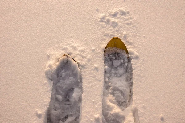 Marcher sur de larges skis en bois dans la neige profonde — Photo