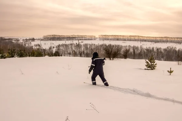 Hombre en ropa de abrigo es esquiar en la nieve virgen entre las coníferas jóvenes —  Fotos de Stock