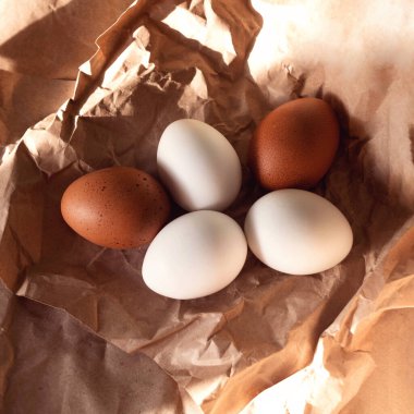 Buruşmuş kağıtta yumurtalar.