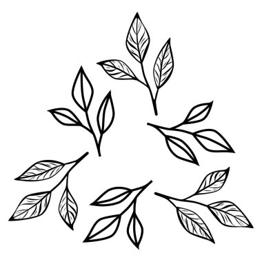Kahve veya çay dallarının üçgen şeklinde dizilmiş minimalist çizgisi çizimi. Kafe logosu, ambalaj, marka ve organik ürün tasarımı için mükemmel..