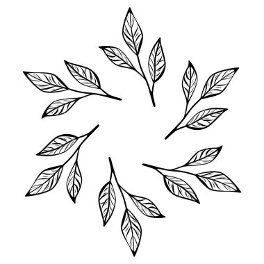 Kahve ve çay yaprağı dallarının dairesel bir kompozisyonda sıralandığı zarif bir çizgi çizimi. Kafe logosu, ambalaj, markalaşma veya organik tasarım için mükemmel..
