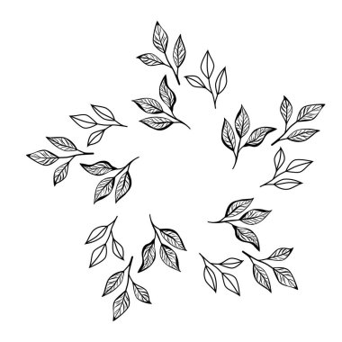 Minimalist botanik çember, kahve ağacı dalları ve yaprakları sanat tarzında yapılmıştır. Kafe logosu, ambalaj, markalaşma veya doğal tasarım projeleri için mükemmel..