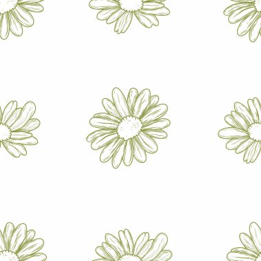 Beyaz arka planda büyük papatyalar olan kusursuz vektör deseni. Kumaş, ambalaj, kırtasiye, duvar kağıtları ve modern dekoratif tasarım için ideal.