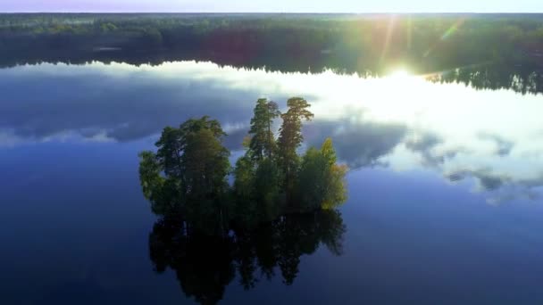 Bella vista sul lago panoramico, l'isola e la foresta nella natura russa. Colpo di droni — Video Stock
