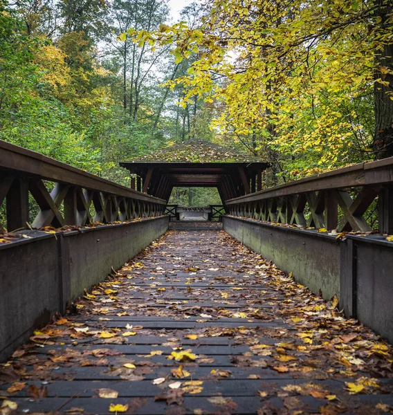 Symmetriska Linjer Träbron Höstskogen Gula Blad Brigaden Royaltyfria Stockfoton