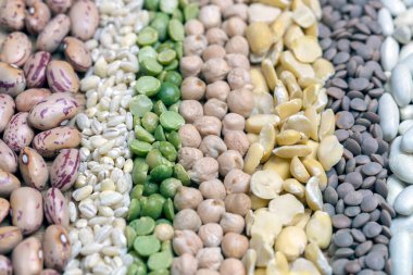 Sıraya dizilmiş kuru fasulye yakın plan görüntüsü