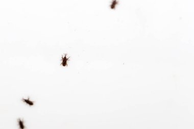 Beyaz arkaplandaki hataları kapat