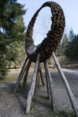 Oval şekilli ağaç gövdelerinin açık havada çekilmiş fotoğrafı. 