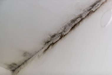 Banyonun köşelerinde küf var.