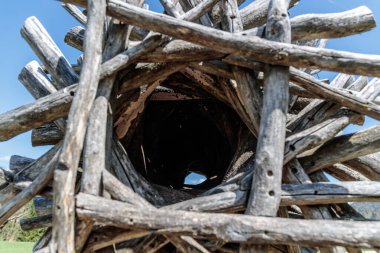 Oval şekilli ağaç gövdelerinin açık havada çekilmiş fotoğrafı. 