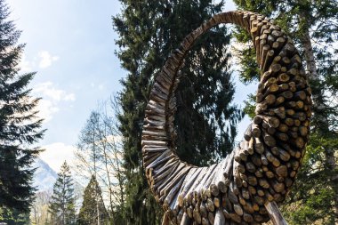 Oval şekilli ağaç gövdelerinin açık havada çekilmiş fotoğrafı. 