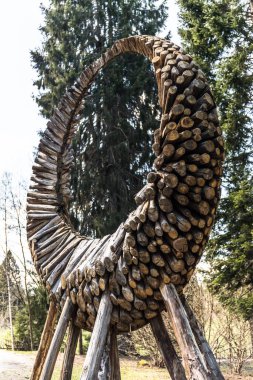 Oval şekilli ağaç gövdelerinin açık havada çekilmiş fotoğrafı. 