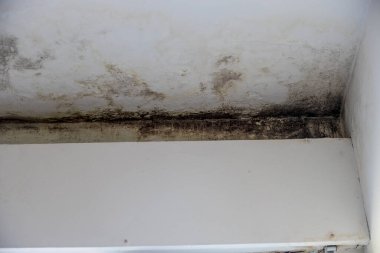 Banyonun köşelerinde küf var.