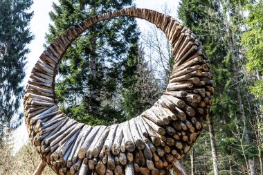 Oval şekilli ağaç gövdelerinin açık havada çekilmiş fotoğrafı. 