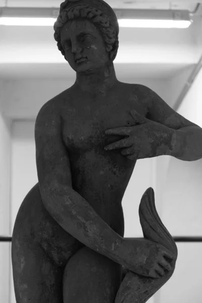 博物馆里的裸体妇女雕像 — 图库照片