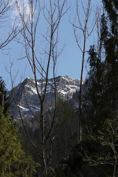 雪の山の美しい景色 — ストック写真