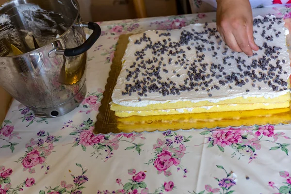 Gâteau Aux Fruits Passe Temps Loisirs — Photo