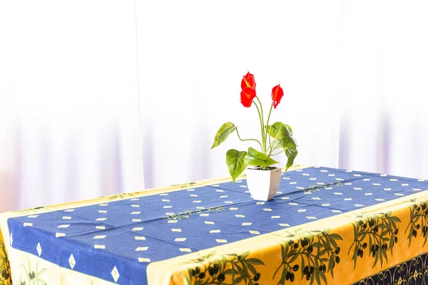 Tafelkleed Een Rechthoekige Tafel Boven Een Vaas Met Rode Bloem — Stockfoto