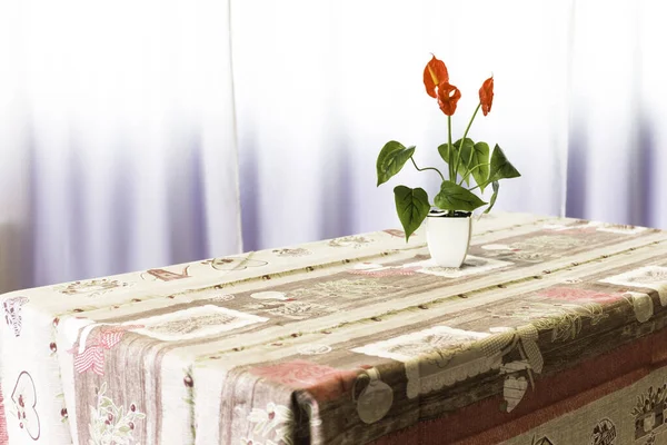 table-cloth on a rectangular table above a vase with red flower