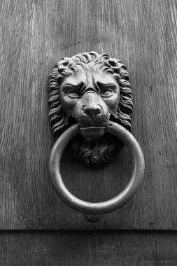 Kapı tokmağı aslan kafa yakın çekim görüntüsü
