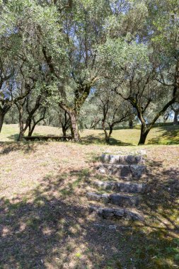 Yaz günü manzaralı güzel bir bahçe.