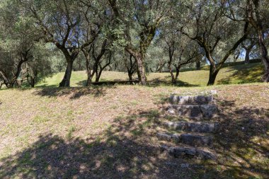 Yaz günü manzaralı güzel bir bahçe.