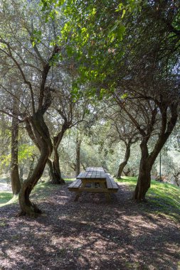 Bahçede piknik masası manzarası 