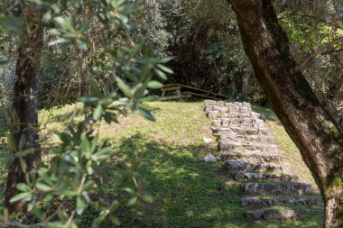 Yaz günü manzaralı güzel bir bahçe.