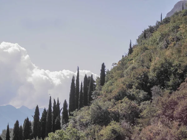 Arkasında bir dağ olan güzel bir manzara.