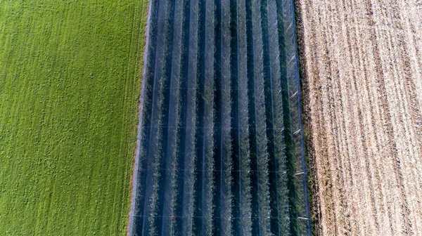 Aerial View Harvest Fields — Stock Photo, Image