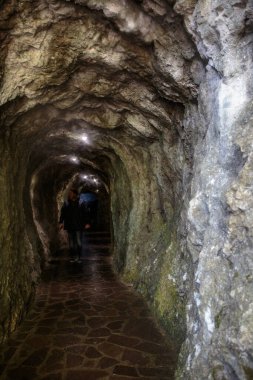 Mağaradaki ışığın manzarası