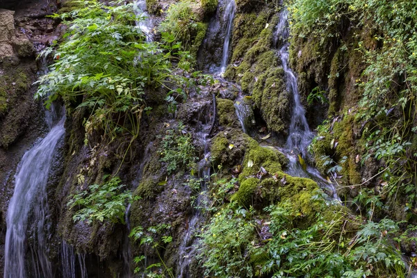 Вид Прекрасний Водоспад — стокове фото