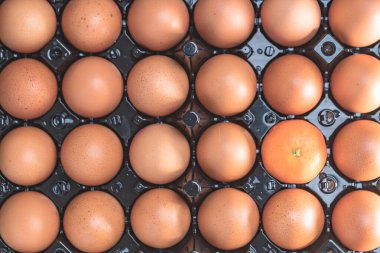 Yumurtalar yakın görünüm 