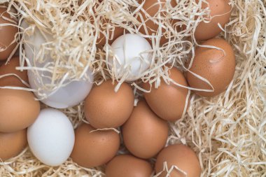 Yumurtalar ve lambalar yakın görünüm 