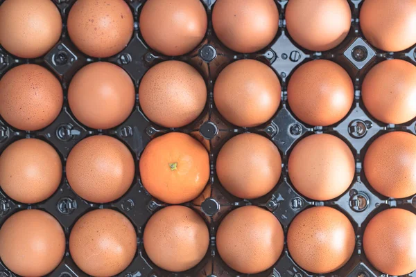 Yumurtalar yakın görünüm 