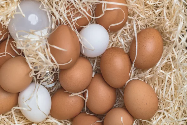 Yumurtalar yakın görünüm 