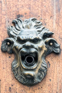 Kapı tokmağı olan bir aslanın ayrıntıları.