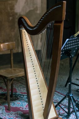 Arp, minimalist müzik aletleri, Müzik Enstrümanı Klasik, Arp İpi