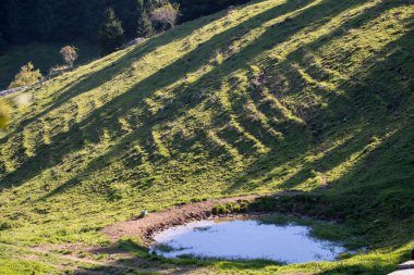 Güzel yeşil alan, manzara manzarası 