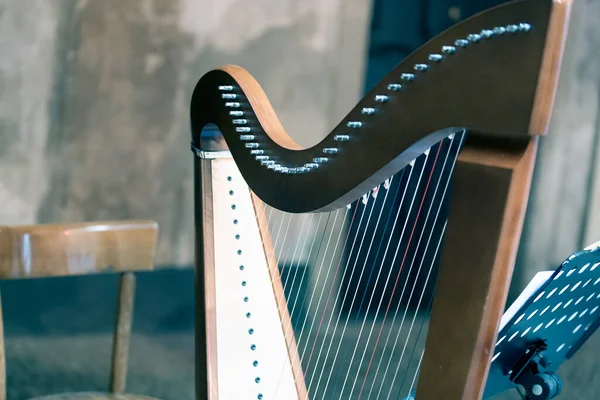 Arp, minimalist müzik aletleri, Müzik Enstrümanı Klasik, Arp İpi