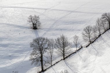 Güzel kış manzarası