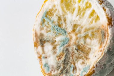 Küflü limon, beyaz arka planda küflü yarım limon.