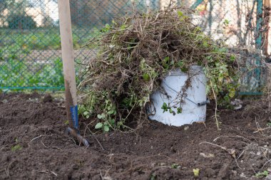 Ot kovası ve kürek bahçede.